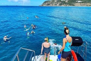 5 Hour Luxury Catamaran Day Sail in Sint Maarten on The Phoenix - Getting to Bobby’s Marina and the wooden gazebo meetup