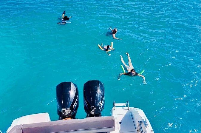 Full Day All inclusive Private Sxm Trip - Tintamarre Island snorkel: reef time in a protected reserve
