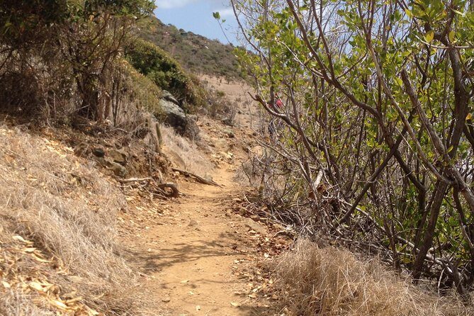 Guana Bay Coastal Hike - Price and scheduling: when this fits best