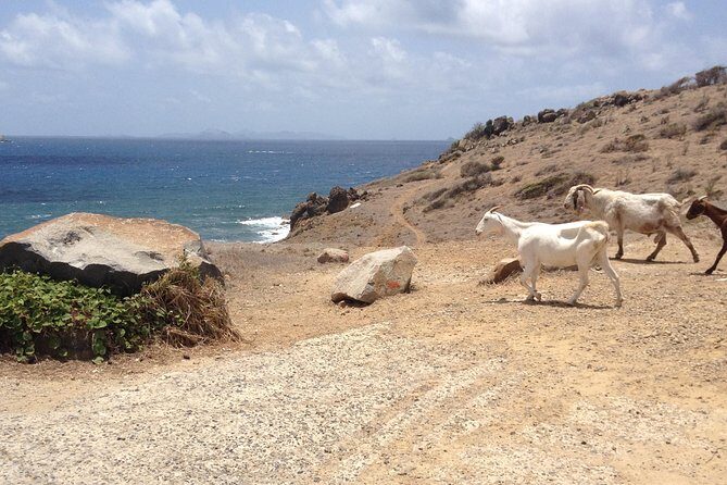 Guana Bay Coastal Hike - The route: what you’ll do from start to pebble beach