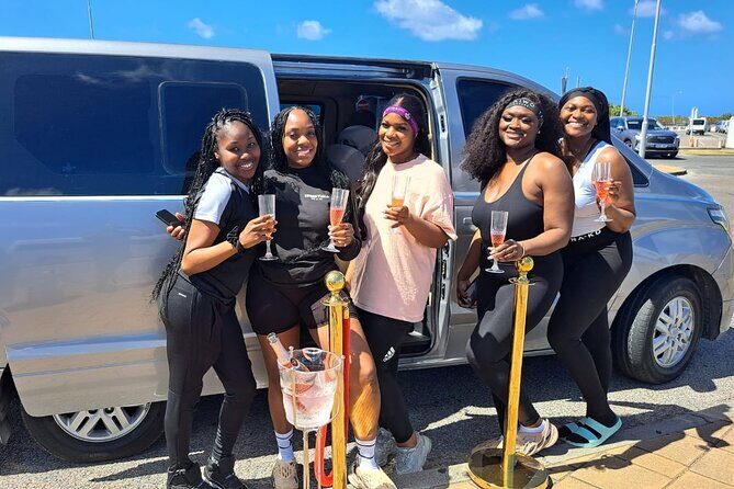 j vip taxi service sxm Birthday Pick up St. Maarten - Group size up to 15: who this taxi fits best