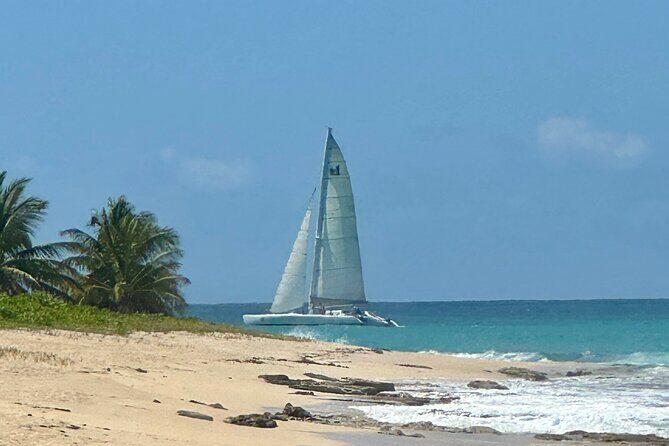 No1Sxm Half Day Sail Snorkeling and Sunset Experience - The calm-bay snorkeling stop: gear included, and what you might spot