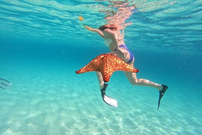 Private Full Day Boat Tour in St-Maarten - What’s included on board (and why those details matter)