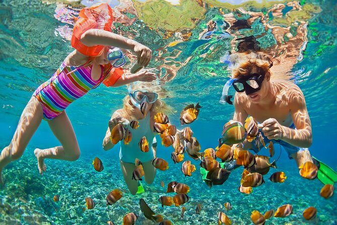 St.Maarten Nature, Hike & Snorkeling - Meeting in Philipsburg: where to start and what to bring