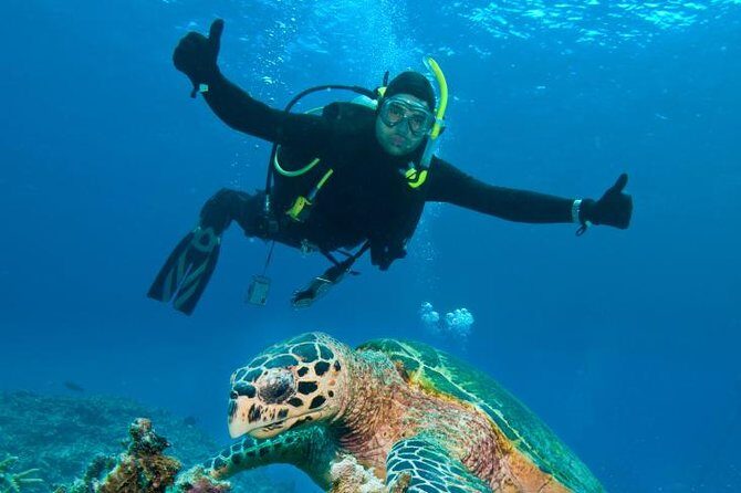 St Maarten Scuba Diving for Certified Divers - Meeting at Aqua Mania Adventures in Simpson Bay: timing that actually helps