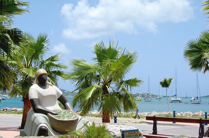 St-Martin and St Maarten: Sightseeing Tour of the French and Dutch Sides of the Island - Marigot Market and Town Time in the French Capital Feel