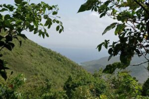 St.Martin - St. Maarten: Small Group, Coastal Hike & Swim Tour - Coralita Beach Nature Reserve: a gentle warm-up on the east coast