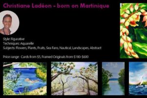 St.Martin - St.Maarten: Small Group, Visit Our Artists, Art Tour - Stop-by-Stop: Four Studios Across the French and Dutch Sides