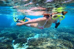 The Original Eco Tour Full-Day Around the Island of Sint Maarten - Creole Rock Snorkeling: Clear Water and Real Reef Action