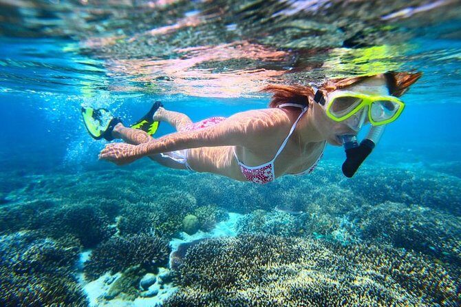 The Original Eco Tour Full-Day Around the Island of Sint Maarten - Creole Rock Snorkeling: Clear Water and Real Reef Action